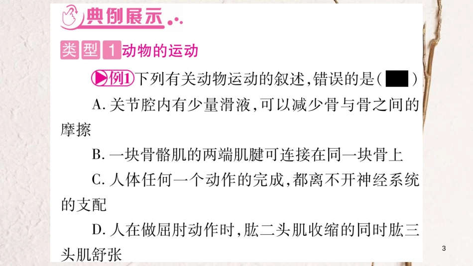 中考生物总复习 知能综合突破 专题5 动物的运动和行为课件_第3页