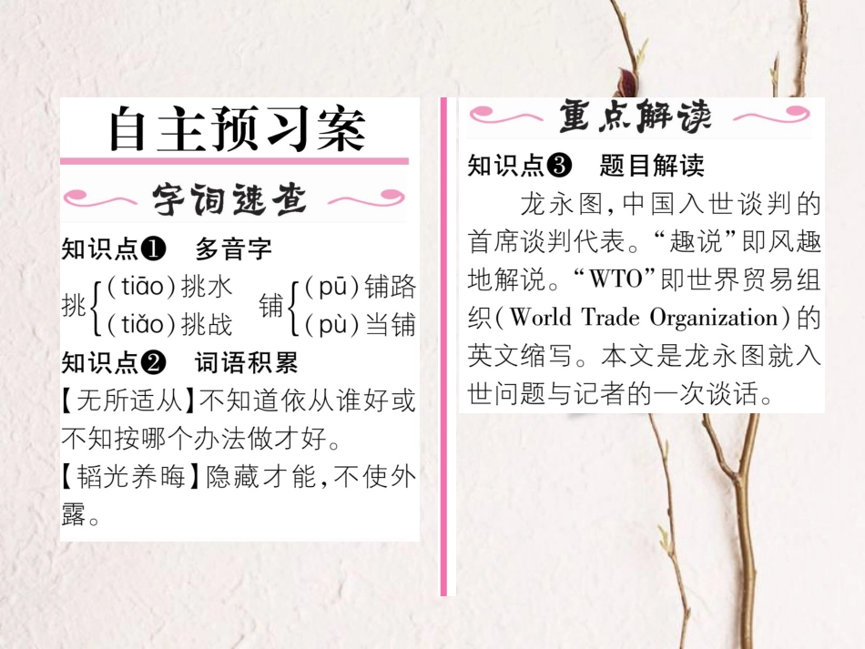 （遵义专版）九年级语文下册 第五单元 20 龙永图趣说WTO课件 语文版_第2页