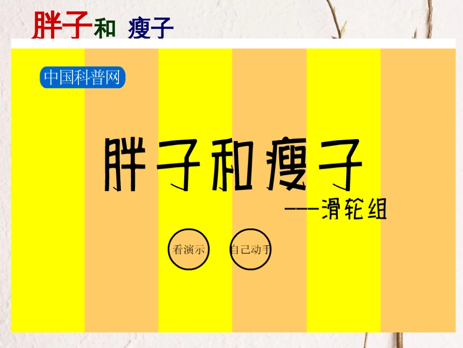 八年级物理下册 5.3《滑轮》课件3 北京课改版(1)_第3页