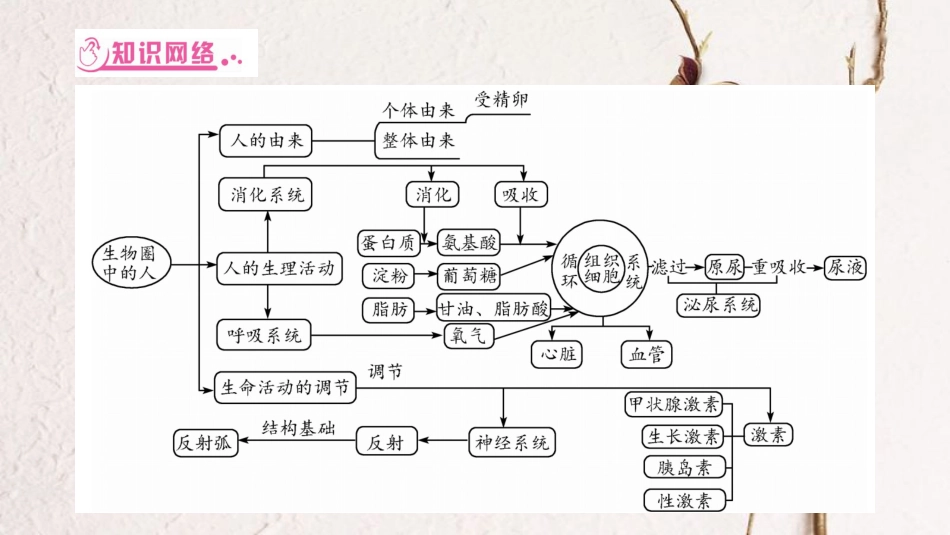 中考生物总复习 知能综合突破 专题3 生物圈中的人课件 北师大版_第2页