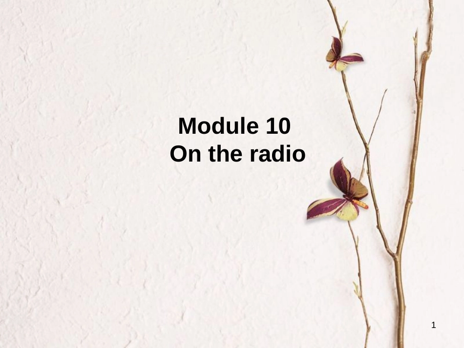 八年级英语下册 Module 10 On the radio Unit 2 It seemed that they were speaking to me in person课件 （新版）外研版_第1页