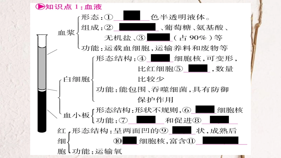 中考生物总复习 教材考点梳理 七下 第4单元 第4章 人体内物质的运输课件 新人教版(1)_第2页