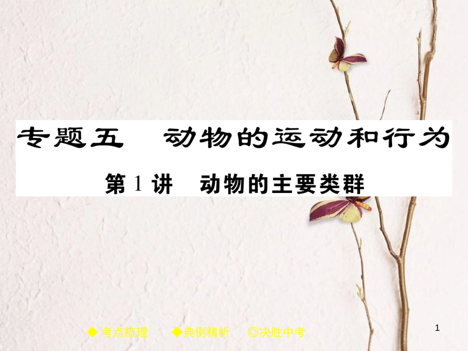 中考生物总复习 专题突破五 动物的运动和行为 第1讲课件(1)_第1页