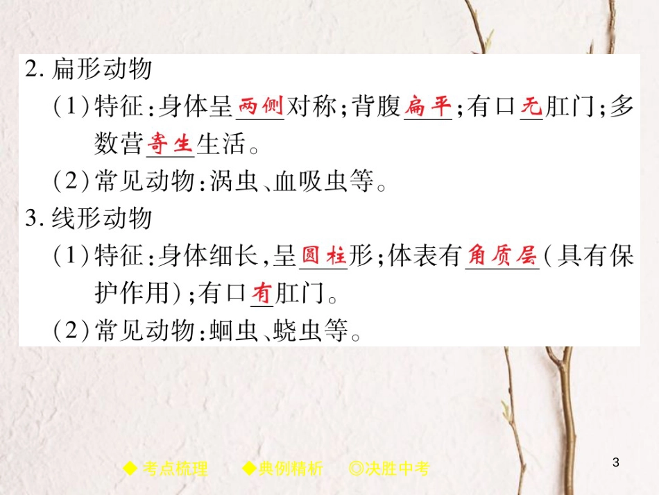 中考生物总复习 专题突破五 动物的运动和行为 第1讲课件(1)_第3页