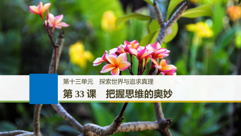 （江苏专版）2019届高考政治一轮复习 第十三单元 探索世界与追求真理 第33课 把握思维的奥妙课件 新人教版必修4(1)_第1页