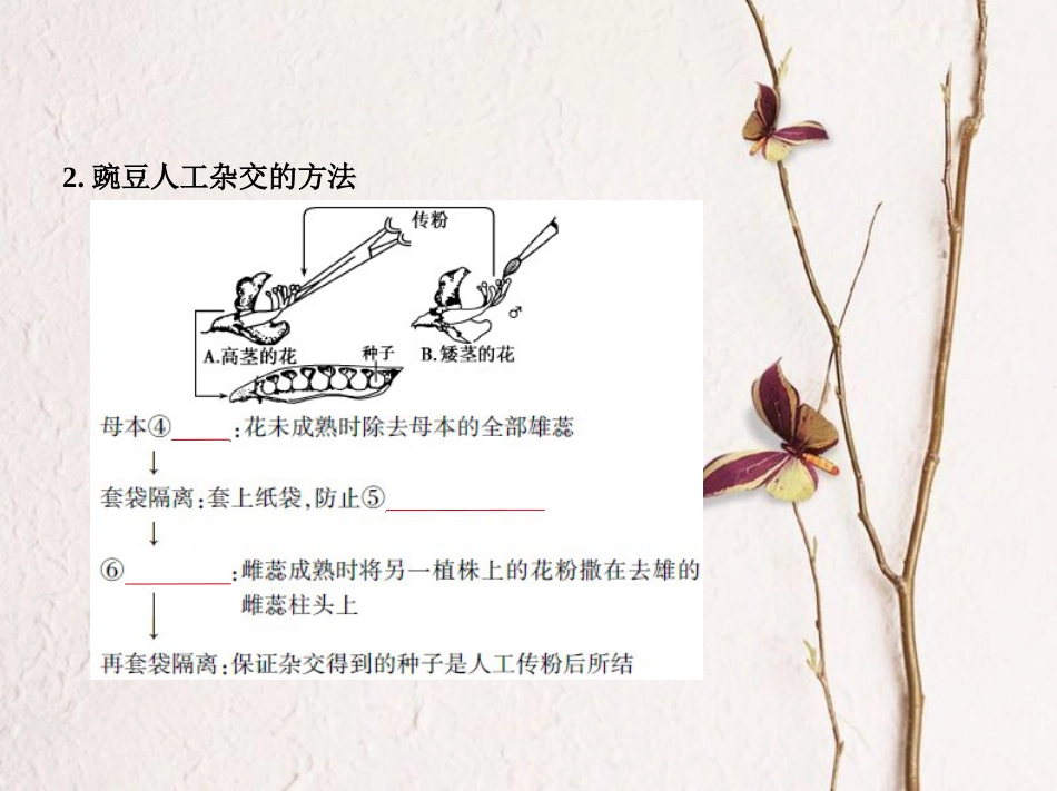 （新课标）2019版高考生物一轮复习 专题11 基因的分离定律课件[共40页]_第3页