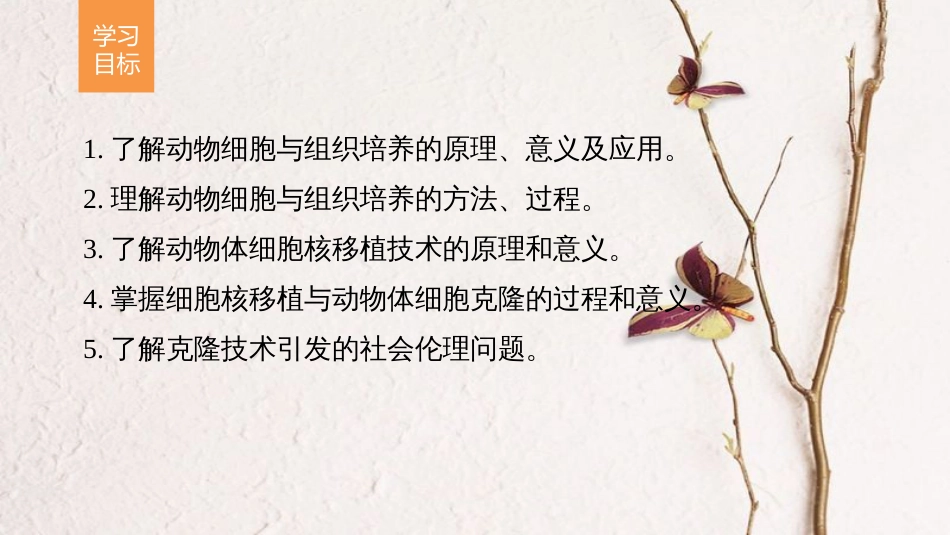高中生物 第二章 细胞工程 第8课时 动物细胞培养和细胞核移植技术课件 苏教版选修3_第2页