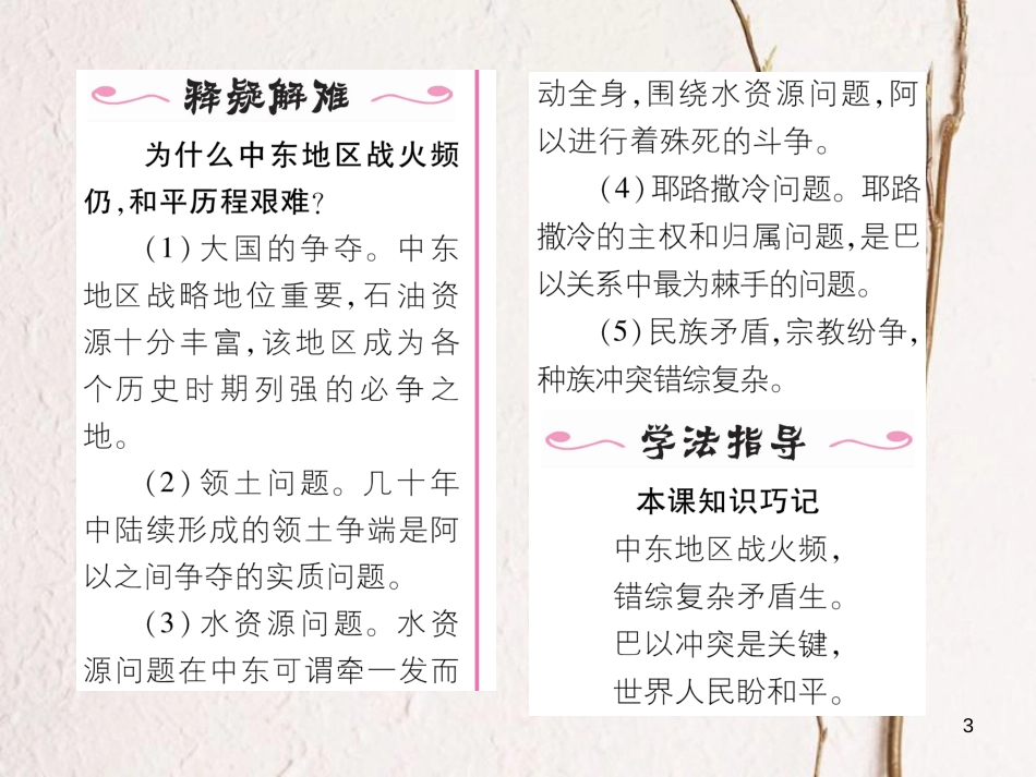 九年级历史下册 第六单元 亚非拉国家的独立和振兴 第13课 动荡的中东地区作业课件 新人教版(1)_第3页