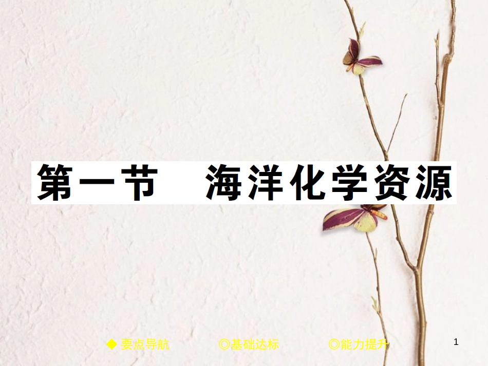 九年级化学下册 第八单元 海水中的化学 第一节 海洋化学资源习题课件 （新版）鲁教版(1)_第1页