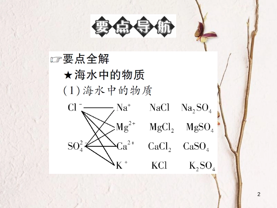 九年级化学下册 第八单元 海水中的化学 第一节 海洋化学资源习题课件 （新版）鲁教版(1)_第2页