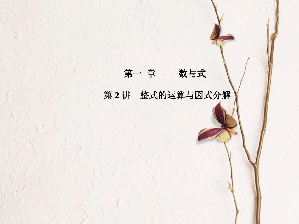 山东省滨州市中考数学复习 第1章 数与式 第2讲 整式的运算与因式分解课件_第1页