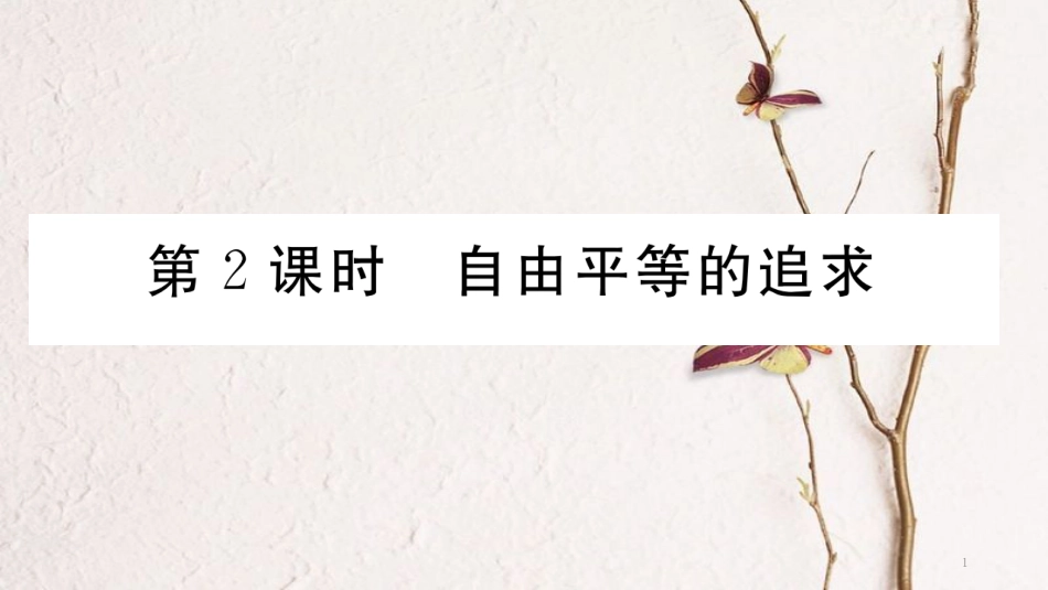 八年级道德与法治下册 第四单元 崇尚法治精神 第八课 维护公平正义 第2框 自由平等的追求习题讲评课件 新人教版(1)_第1页