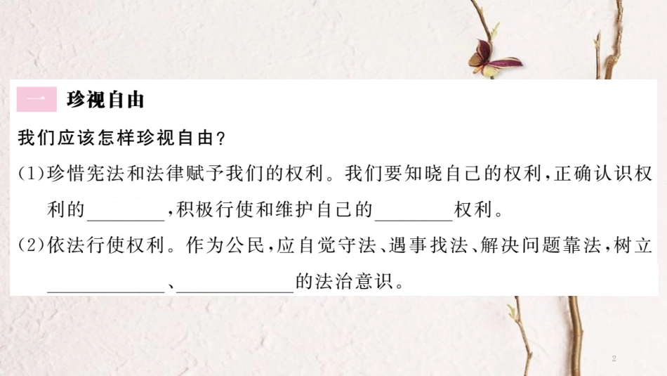 八年级道德与法治下册 第四单元 崇尚法治精神 第八课 维护公平正义 第2框 自由平等的追求习题讲评课件 新人教版(1)_第2页