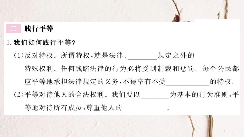 八年级道德与法治下册 第四单元 崇尚法治精神 第八课 维护公平正义 第2框 自由平等的追求习题讲评课件 新人教版(1)_第3页