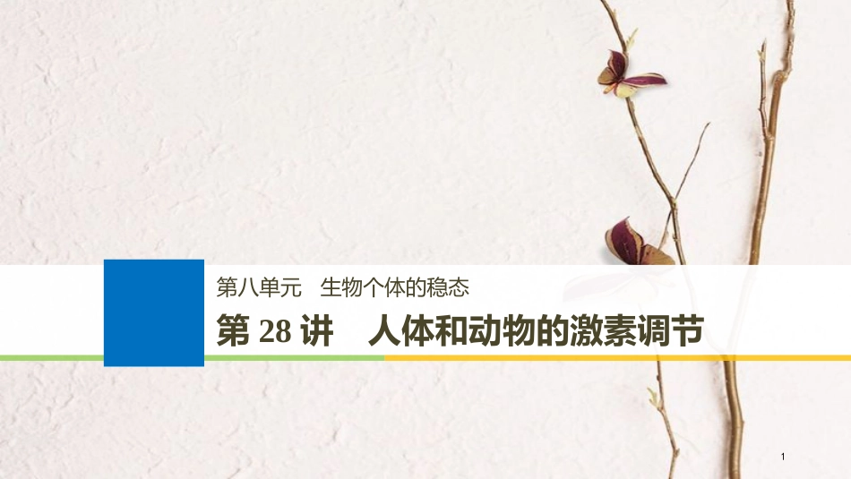 2019届高考生物一轮复习 第八单元 生物个体的稳态 第28讲 人体和动物的激素调节备考一体课件 苏教版_第1页