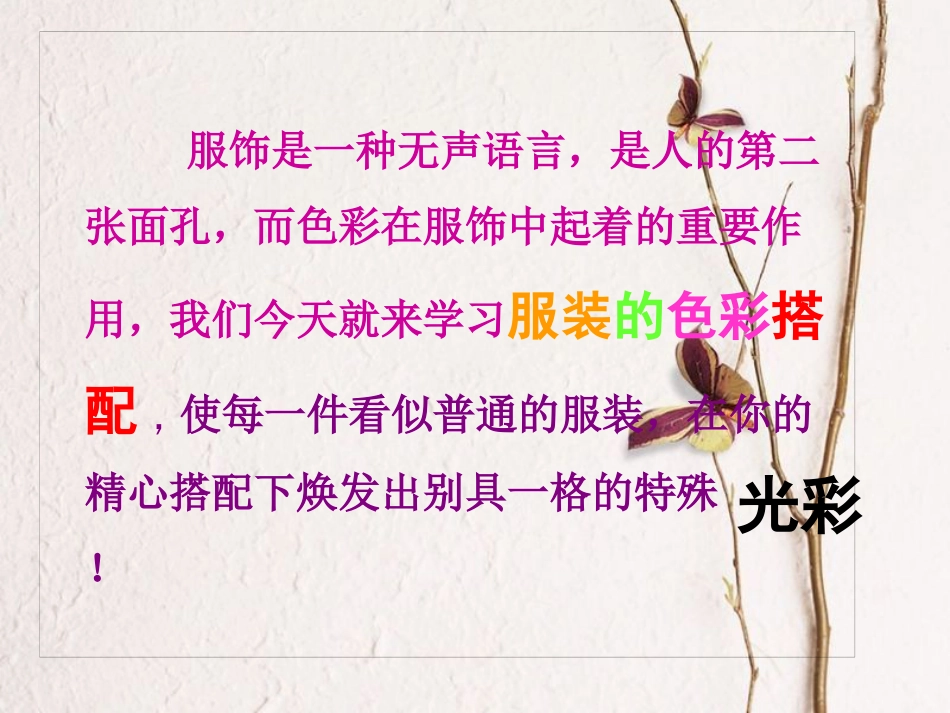 七年级美术下册 6 学习服装的色彩搭配课件3 人美版(1)_第2页