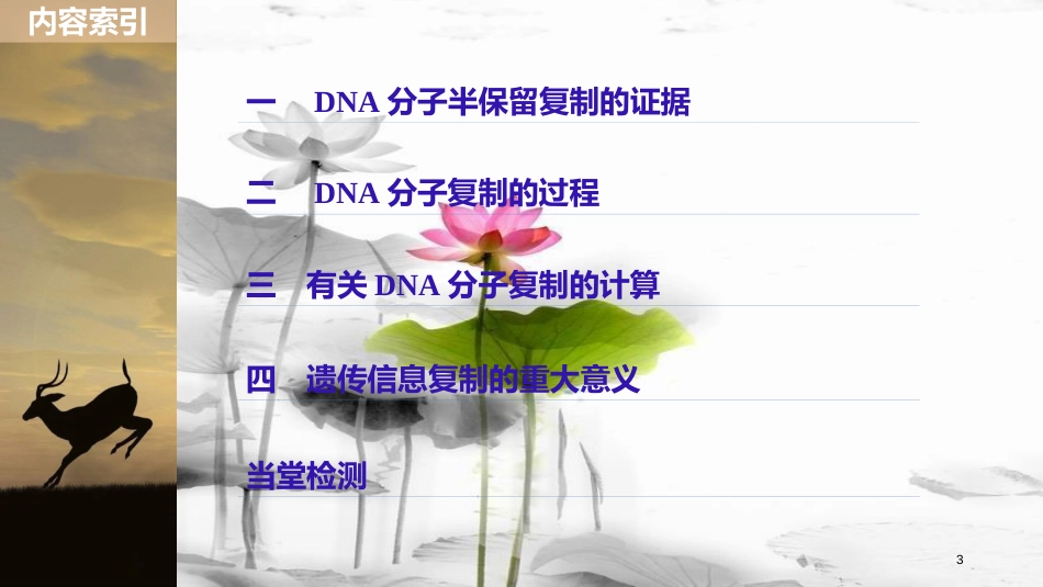 高中生物 第3章 遗传信息的复制与表达 第8课时 遗传信息的复制课件 北师大版必修2(1)_第3页