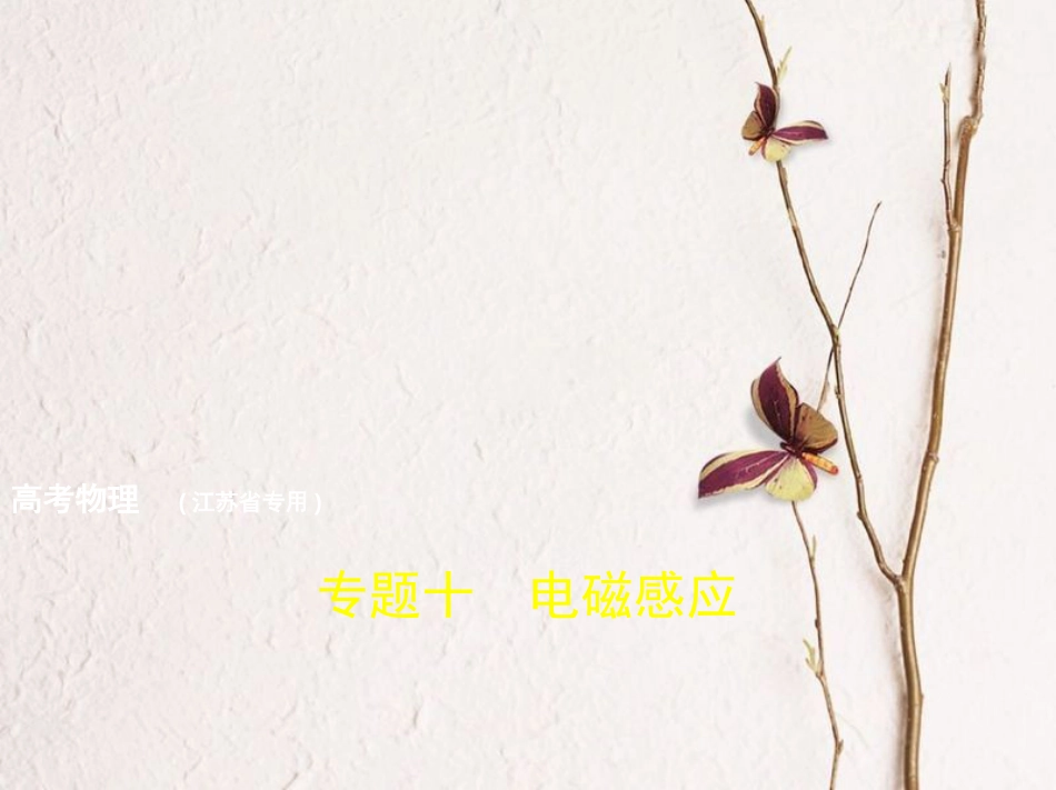 （江苏专用）2019版高考物理总复习 专题十 电磁感应课件_第1页