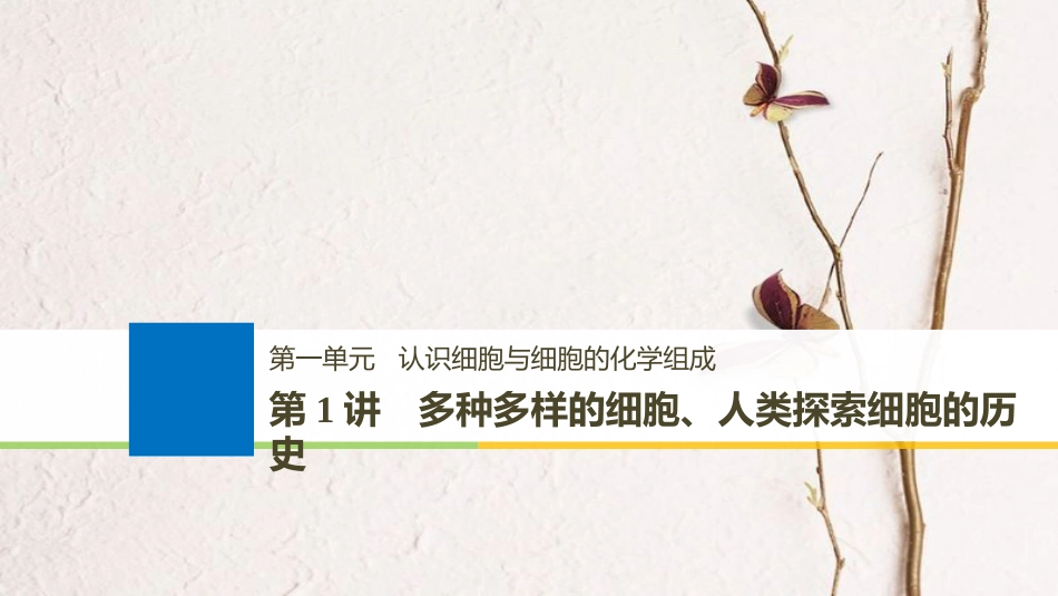 生物高考大一轮复习 第一单元 认识细胞与细胞的化学组成 第1讲 多种多样的细胞、人类探索细胞的历史课件 北师大版_第1页