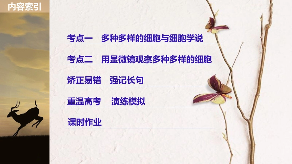 生物高考大一轮复习 第一单元 认识细胞与细胞的化学组成 第1讲 多种多样的细胞、人类探索细胞的历史课件 北师大版_第3页