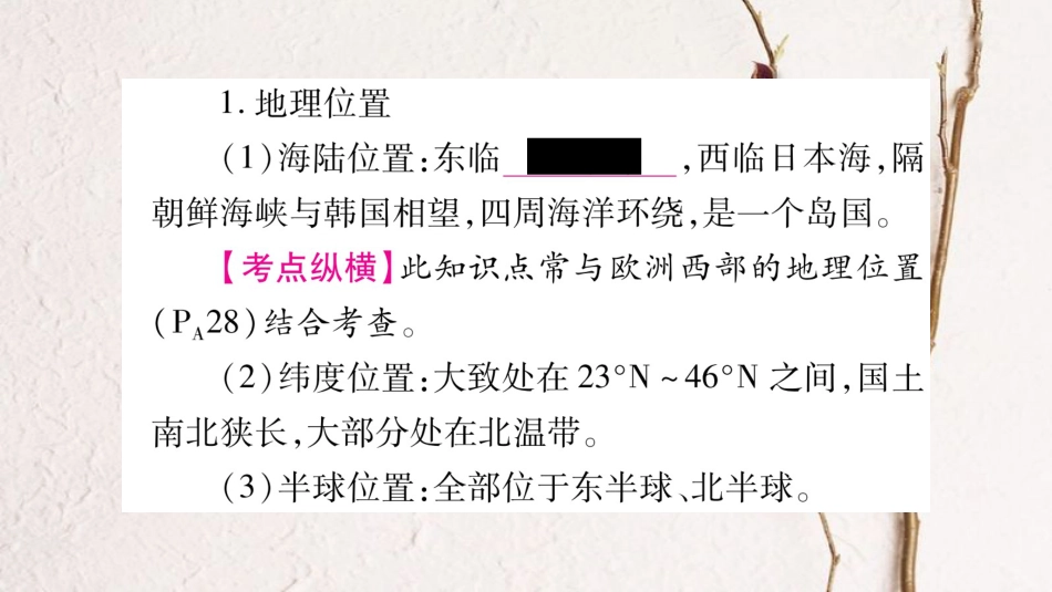 （人教版通用）中考地理总复习 七下 第7章 我们邻近的地区和国家 第1课时 日本和东南亚课件_第3页