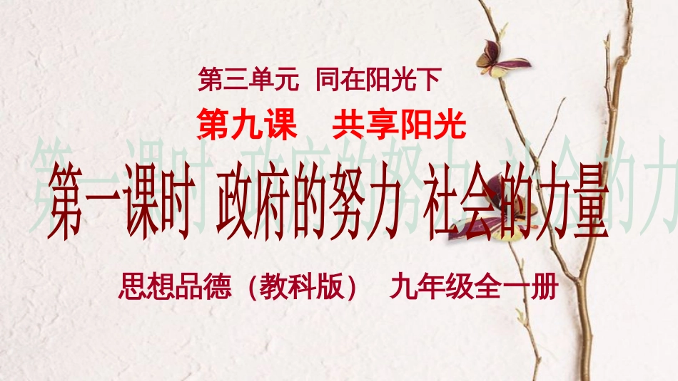 九年级政治全册 第三单元 同在阳光下 第九课《共享阳光》第1框《政府的努力 社会的力量》课件 教科版(1)_第3页