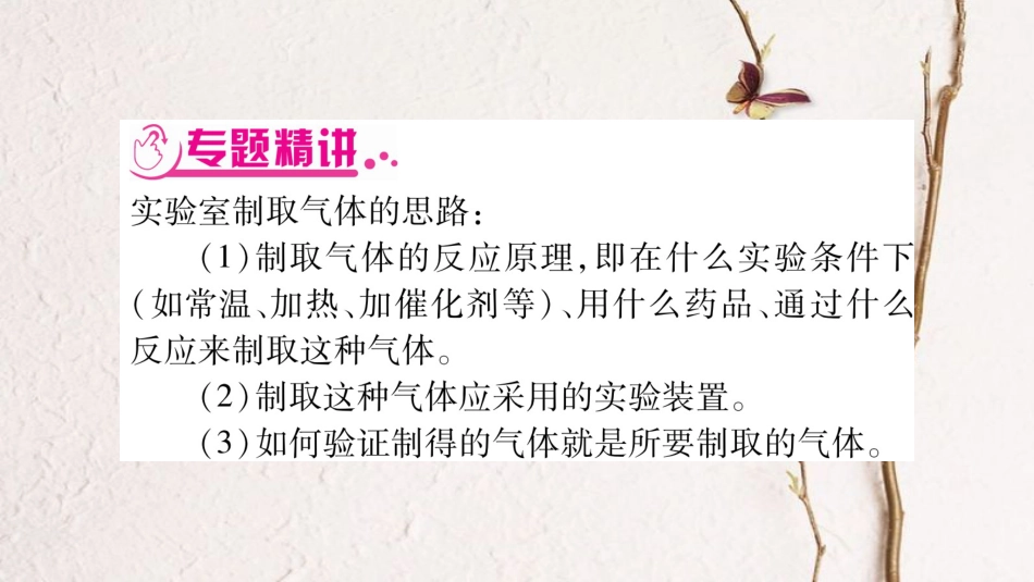安徽省中考化学总复习 第2部分 题型专题突破 专题3 针对第12题常见气体的制取与净化课件_第2页