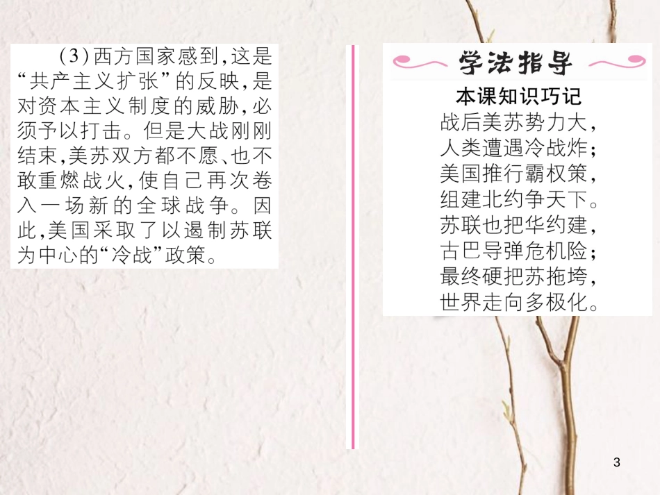 九年级历史下册 第七单元 战后世界格局的演变 第14课 冷战中的对峙作业课件1 新人教版_第3页