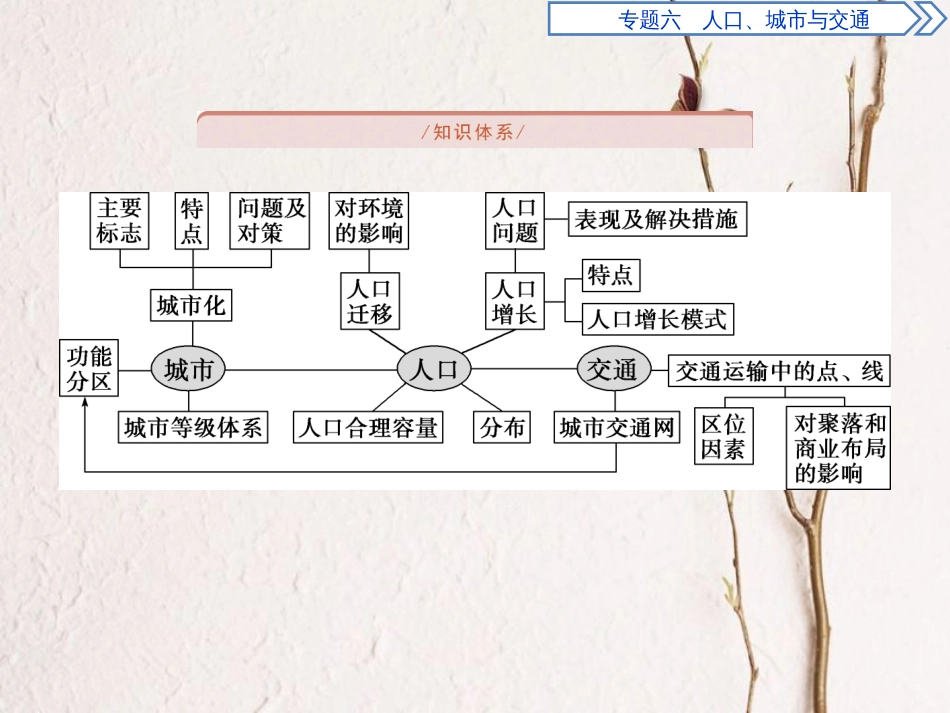 高考地理二轮复习 专题六 人口 城市 交通课件(1)_第2页