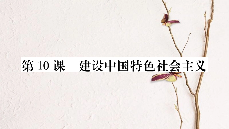 八年级历史下册 第三单元 第10课 建设中国特色社会主义课件 新人教版_第1页