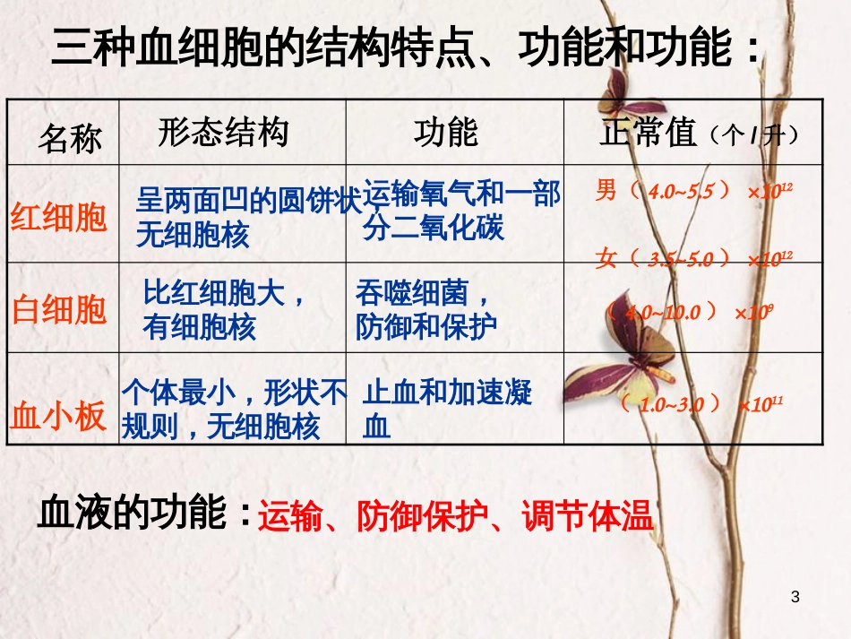 中考生物 人体内物质的运输专题复习课件_第3页