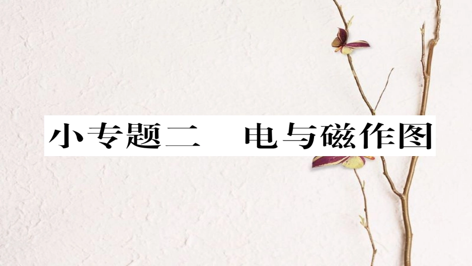 九年级物理全册 小专题二 电与磁作图习题课件 （新版）新人教版_第1页
