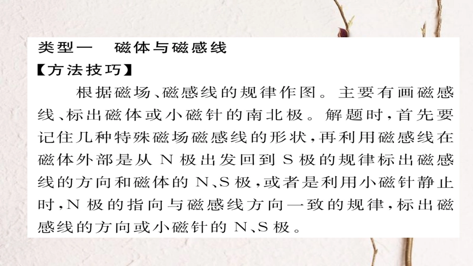 九年级物理全册 小专题二 电与磁作图习题课件 （新版）新人教版_第2页