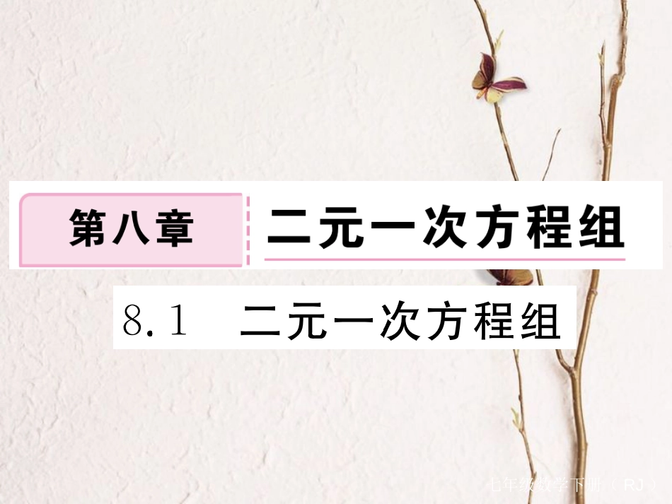 七年级数学下册 第8章 二元一次方程组 8.1 二元一次方程组练习课件 （新版）新人教版_第1页