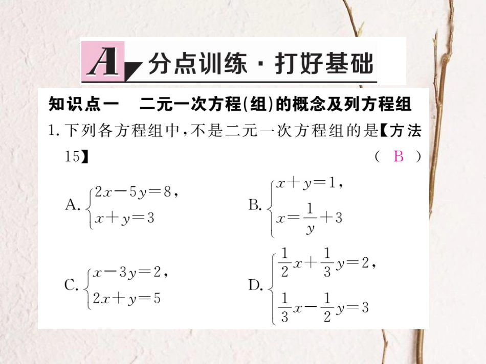 七年级数学下册 第8章 二元一次方程组 8.1 二元一次方程组练习课件 （新版）新人教版_第2页