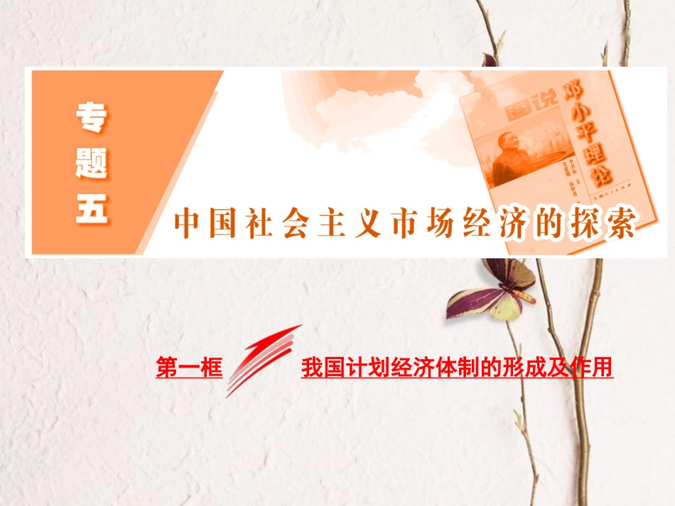 高中政治 专题五 中国社会主义市场经济的探索 第一框 我国计划经济体制的形成及作用课件 新人教版选修2(1)_第2页