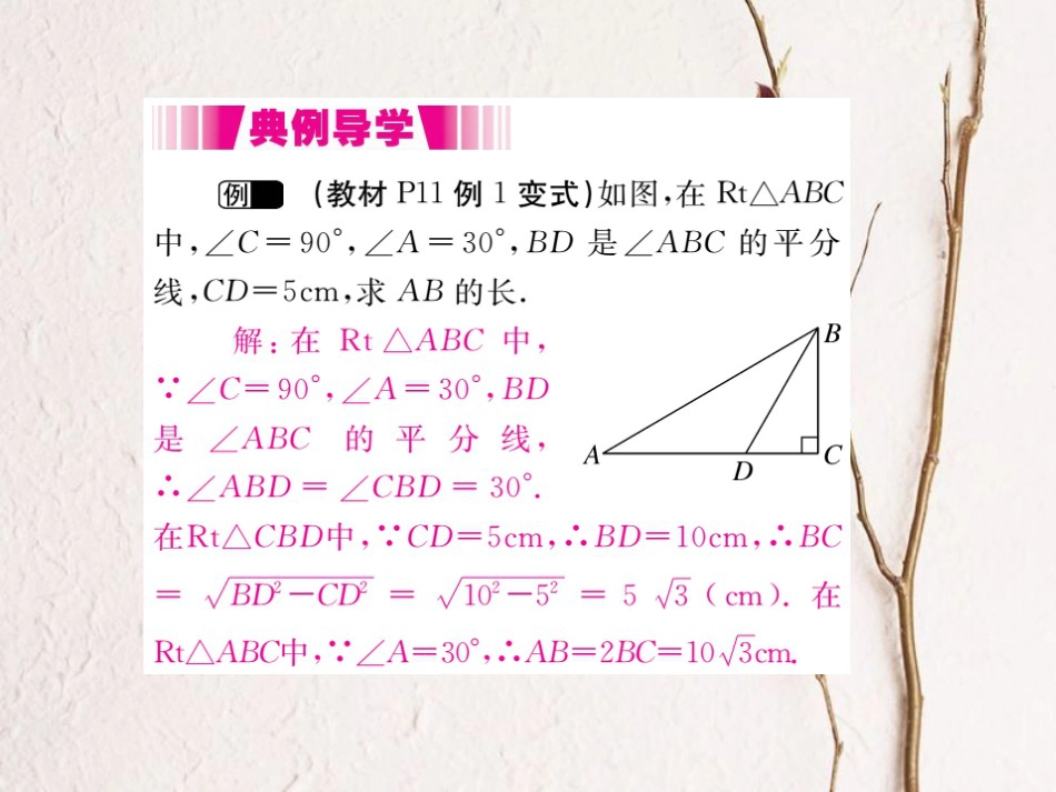 八年级数学下册 第一章 直角三角形 1.2 直角三角形的性质与判定（Ⅱ）第1课时 勾股定理导学课件 （新版）湘教版_第3页