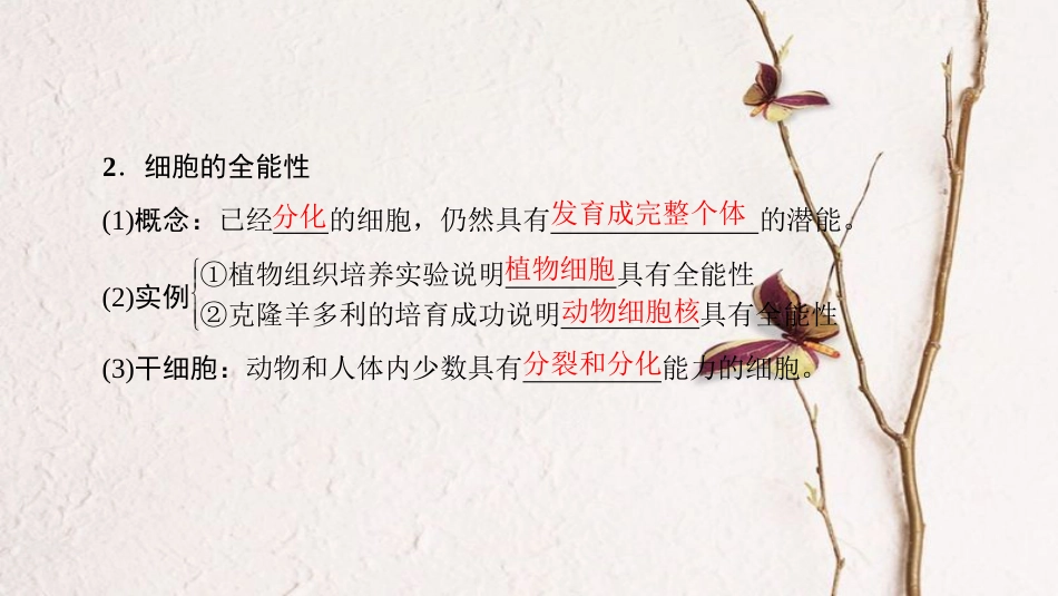 高三生物一轮复习 第4单元 细胞的分化衰老凋亡和癌变课件 新人教版必修1_第3页