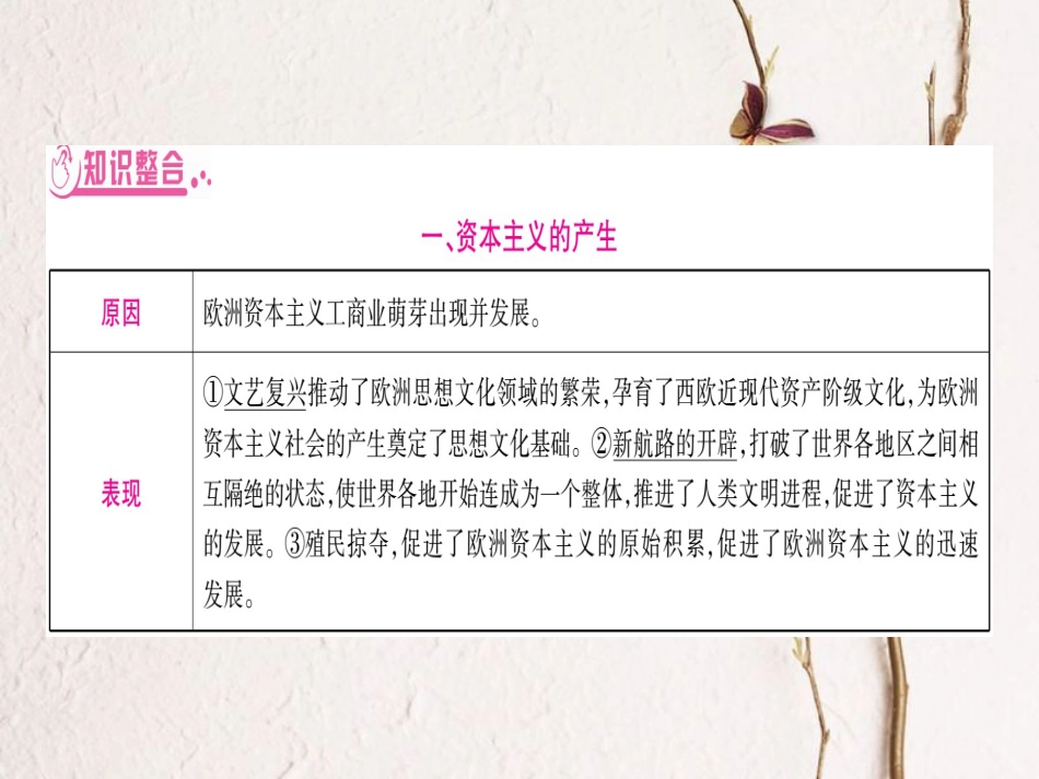 湖南省中考历史复习 第二篇 知能综合提升 专题6 资本主义的发展历程课件_第3页