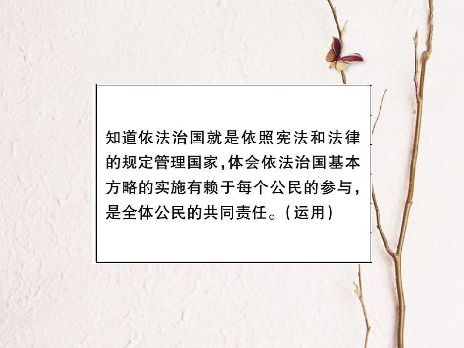 重庆市中考政治 专题复习六 坚持依法治国 维护宪法权威课件_第3页