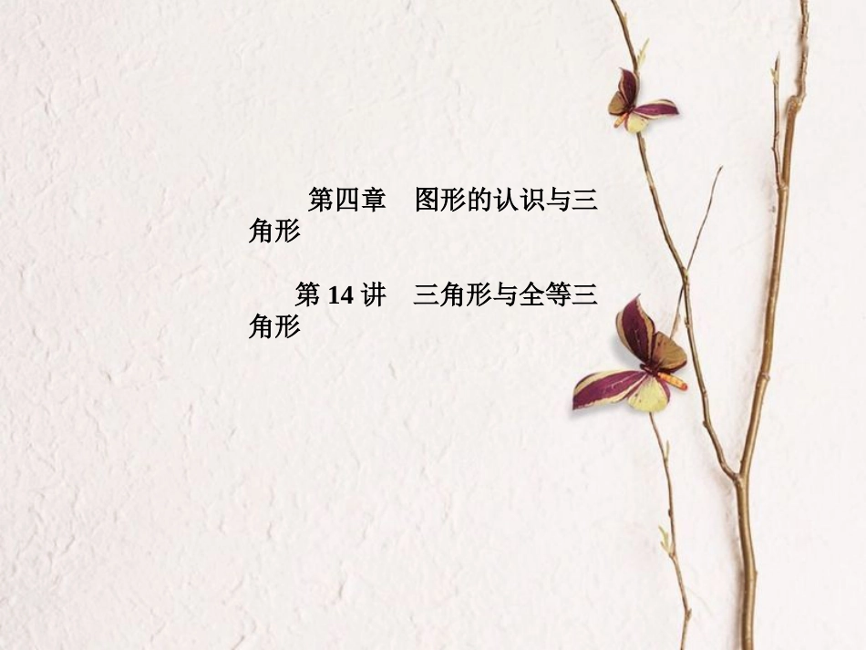 山东省滨州市中考数学复习 第四章 图形的认识与三角形 第14讲 三角形与全等三角形课件_第1页