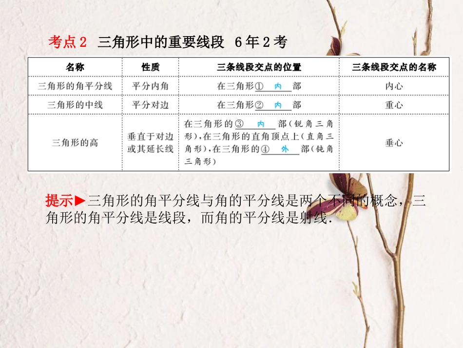 山东省滨州市中考数学复习 第四章 图形的认识与三角形 第14讲 三角形与全等三角形课件_第3页