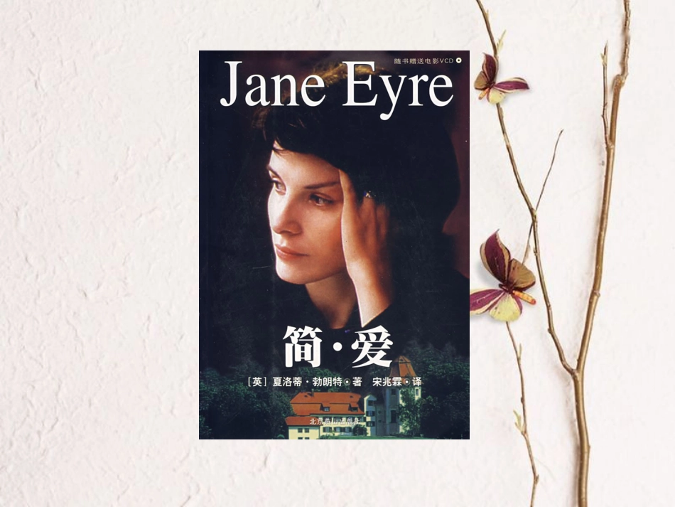 九年级语文下册 第六单元 简爱阅读课件 （新版）新人教版[共22页]_第2页