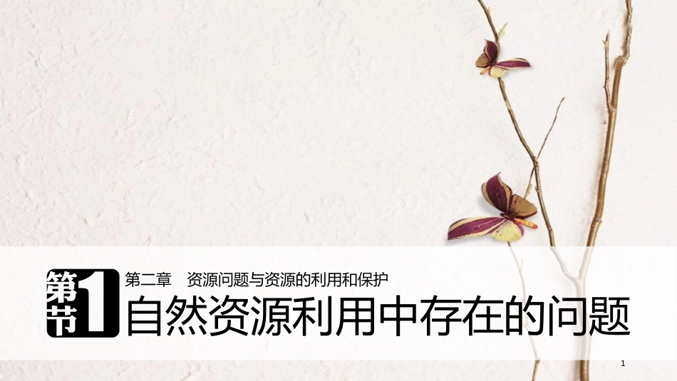 高中地理 第二章 资源问题与资源的利用和保护 第一节 自然资源利用中存在的问题同步备课课件 中图版选修6(1)_第1页