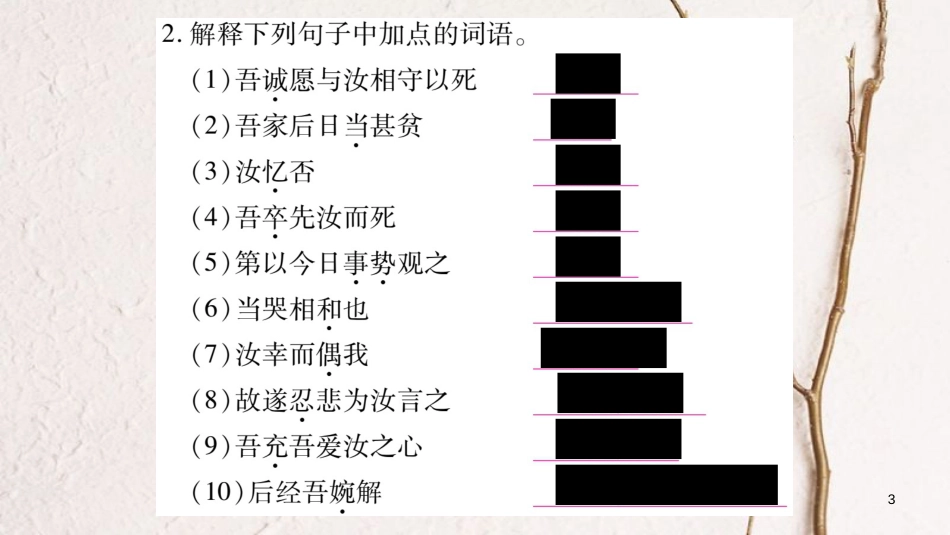 九年级语文下册 第六单元 24 妻与书课件 语文版_第3页