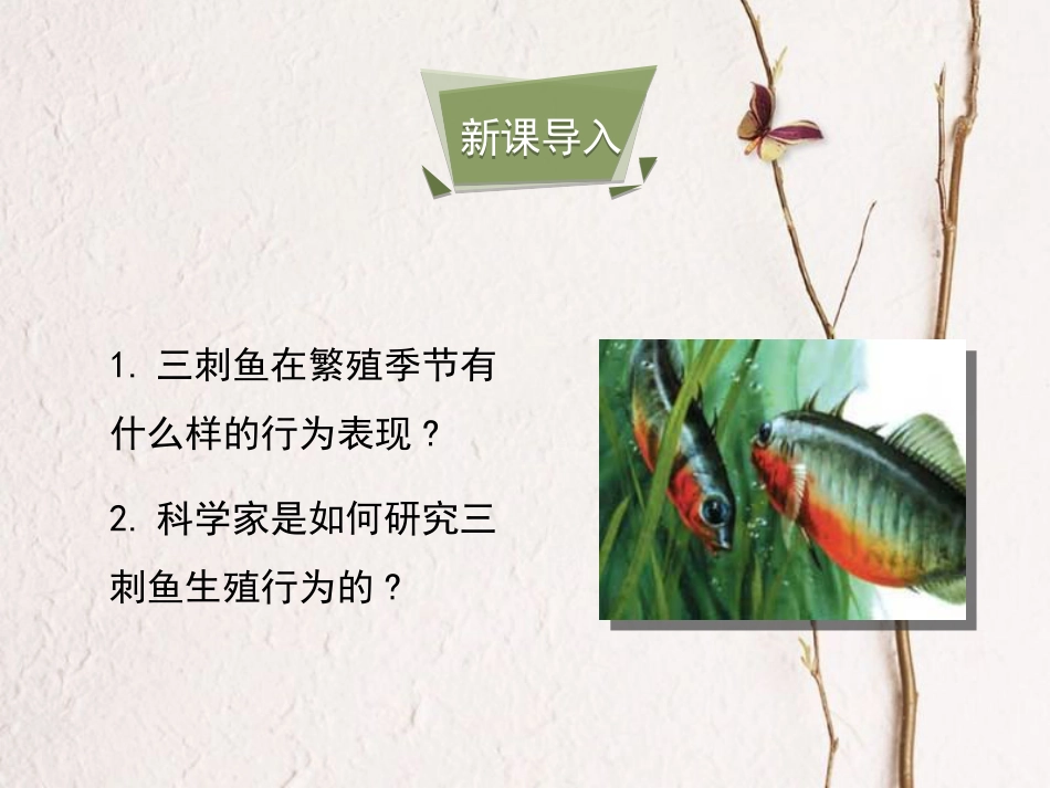 广东省深圳市八年级生物上册 16.3动物行为的研究课件 （新版）北师大版_第3页