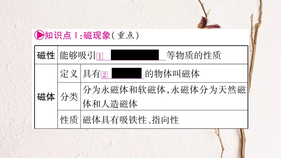 中考物理一轮复习 第21讲 电与磁 第1课时课件 新人教版(1)_第2页