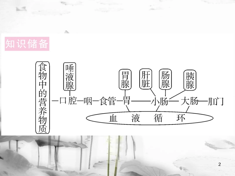 七年级生物下册 热点复习一 六大营养物质的消化和吸收课件 （新版）北师大版(1)_第2页