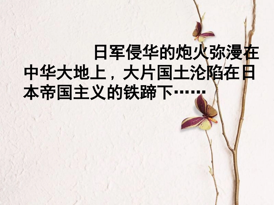 九年级语文下册 第一单元 第3课《我用残损的手掌》课件4 鲁教版五四制_第3页