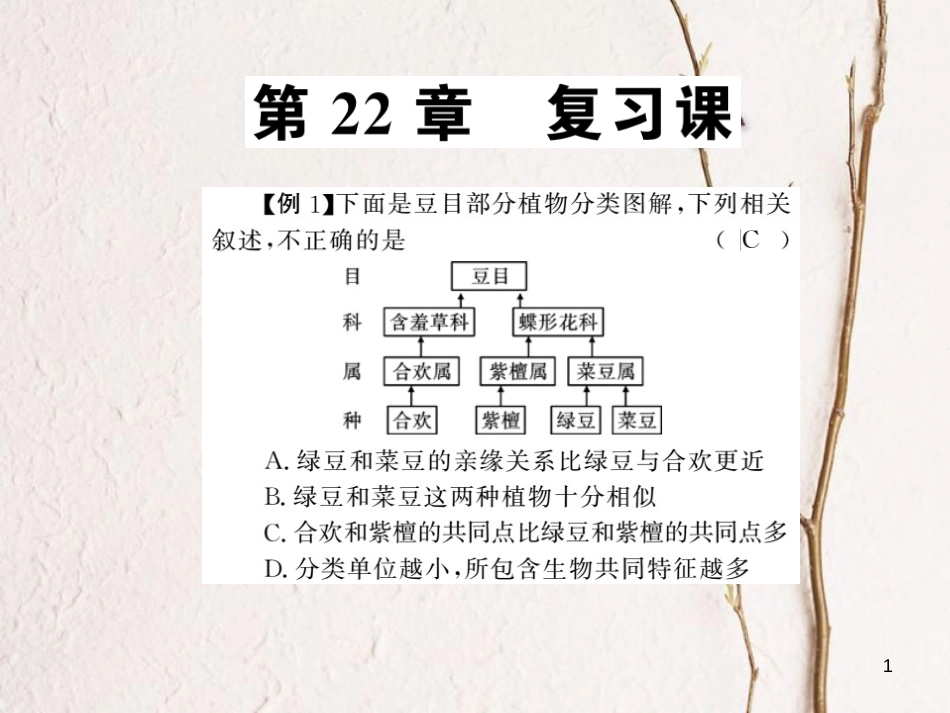 八年级生物下册 22 物种的多样性整理与复习课件 （新版）北师大版_第1页